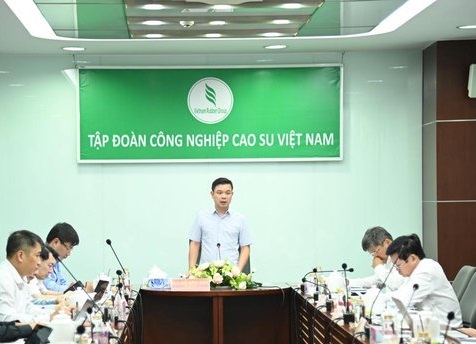 Nghiên cứu giải quyết các vướng mắc, khó khăn của Tập đoàn Cao su Việt Nam